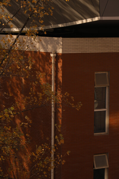 秋日 壁纸 摄影 手机壁纸