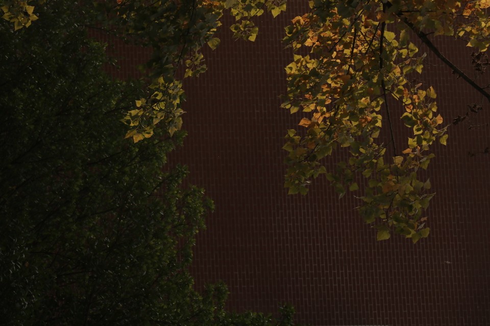 秋日 壁纸 摄影 手机壁纸