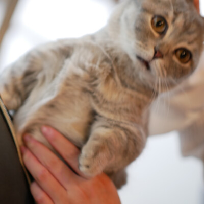 衢州真的是碳水爱好者的天堂
从早餐开始就被各类碳水紧着胃关键是起名还都是素名比如叫葱花馒头结果满满的肉…墩实…
北乡汤圆满满的肉 笋 香菇
芋头粽子又是一大块肉…以素之名骗人就可可怕怕
就一个胃不够装啊 !! …