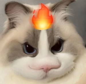 (๑•̀ㅂ•́)و✧