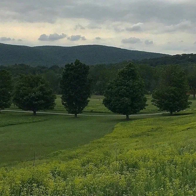 桌面 组件 绿色 背景 壁纸