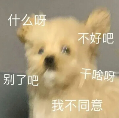 是个小哭包oAo