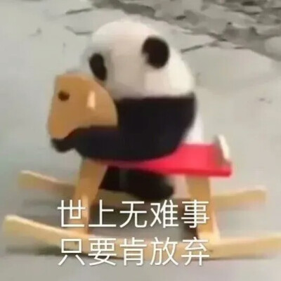 是个小哭包oAo