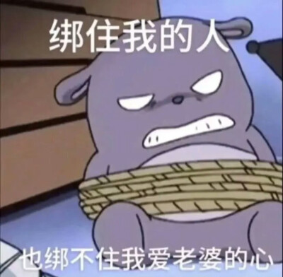 是个小哭包oAo