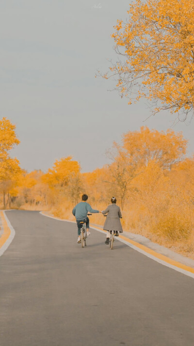 人间朝暮，叶落惊秋
©️:初拾三月