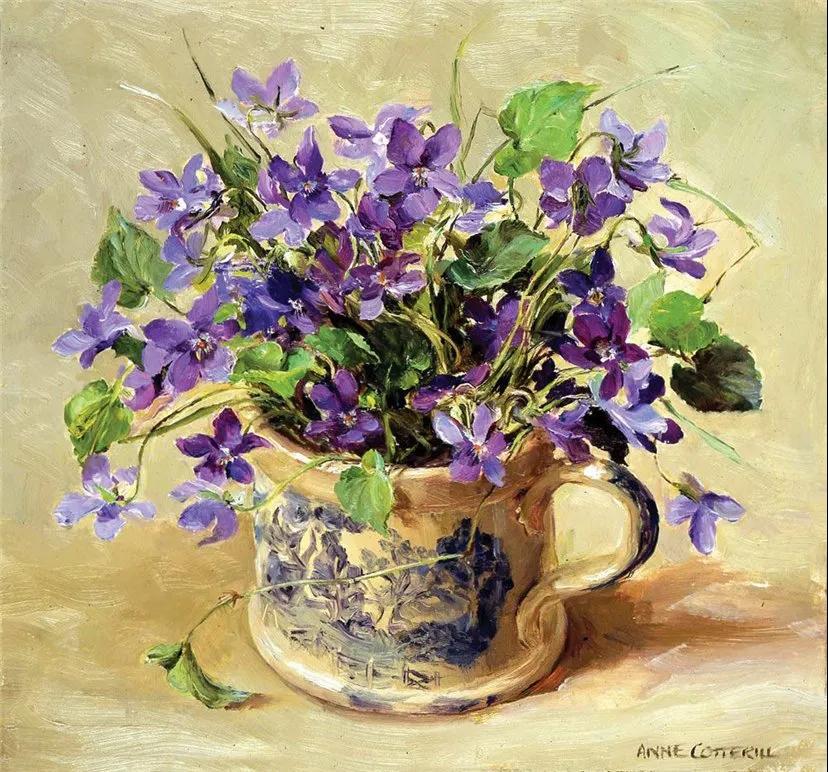 Anne Cotterill，被人称作“安妮奶奶”