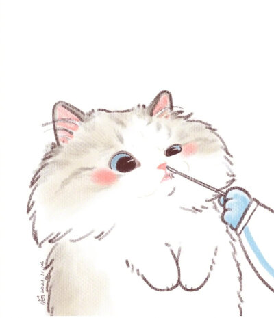 猫猫做核酸｜weibo@纠结的猫G