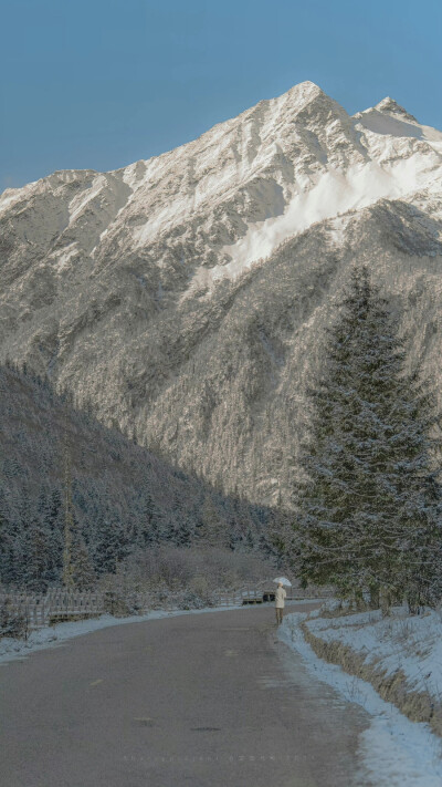 手机壁纸小众高清
