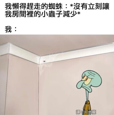 备份