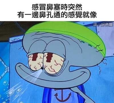 备份