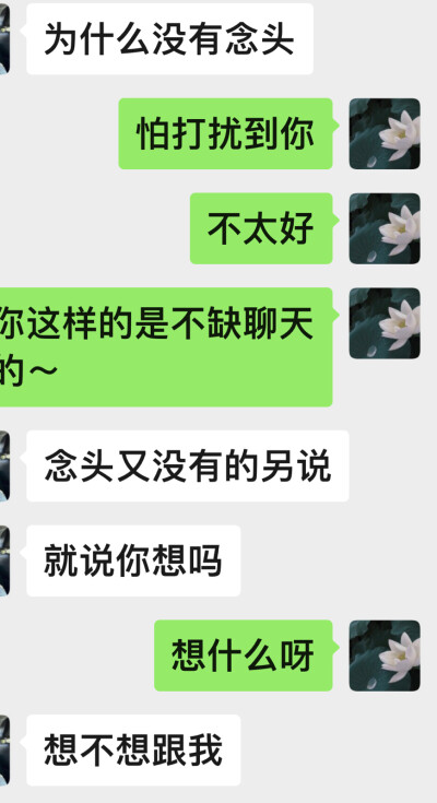 我朝思暮想盼了三年。
从来没想过有一天可以和他聊天