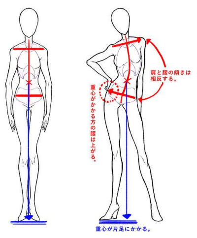 绘画 人体 参考