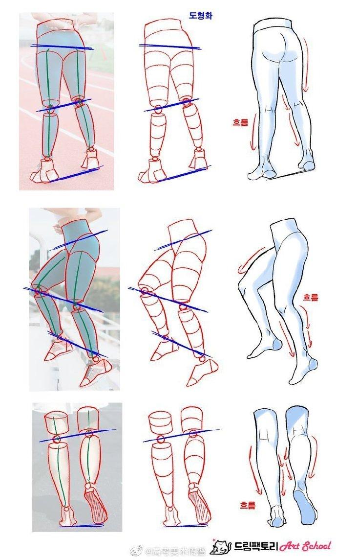 绘画人体参考教程