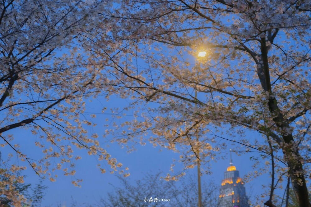 今夕之暮色，
将永远掩藏今日之阳光，
掩藏今日之绿树鲜花，
以及他青春时代的欢声笑语。
幻想终究只能是幻想，
而幻想总是美好得让人无法放弃