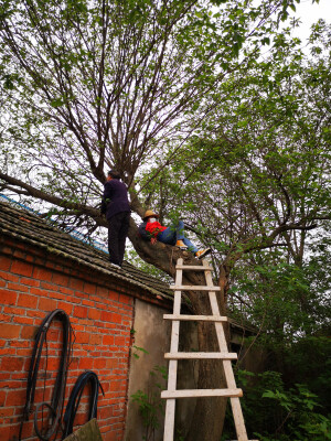 小胖几的美好生活