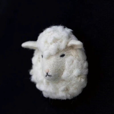 羊毛毡