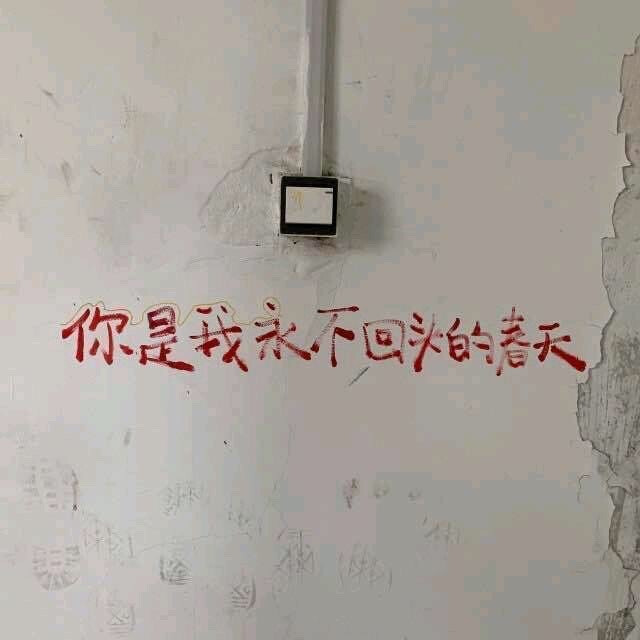 壁纸