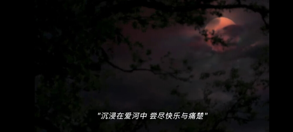 《我的巴比伦恋人》