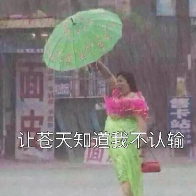 今日热图表情包