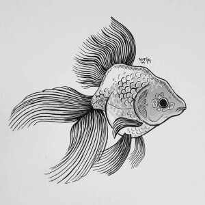 黑白线