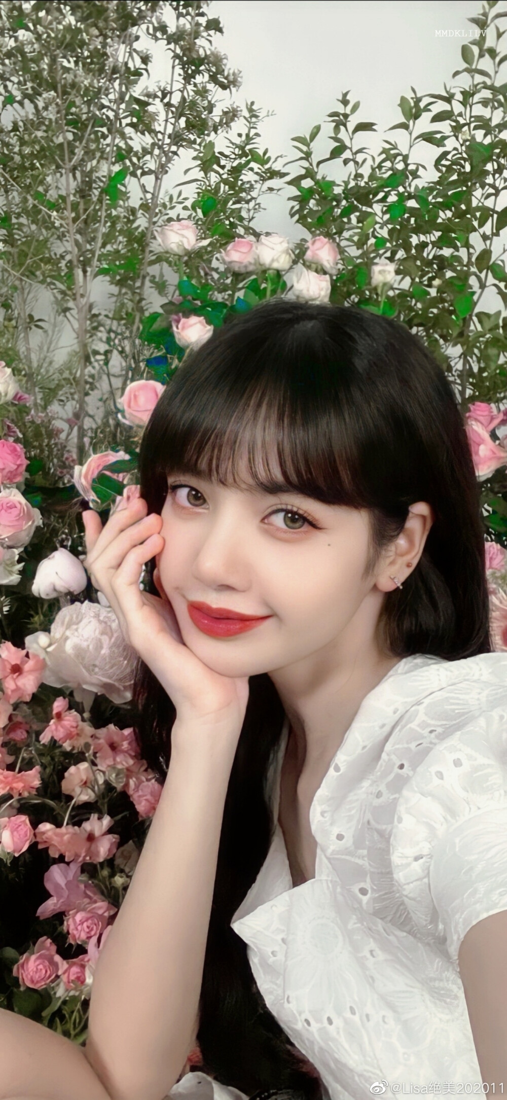 Lisa dt主唱涵