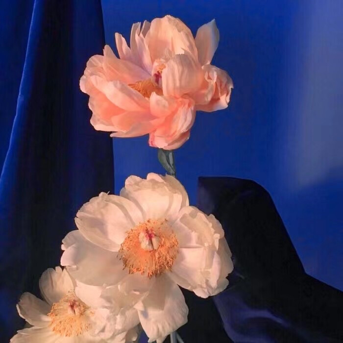 ·我的爱很小声请你仔细听
