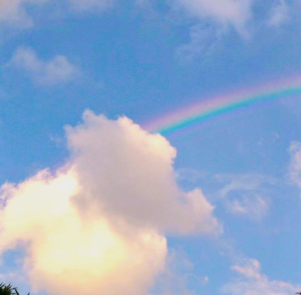 今日份背景图 ฅ՞•ﻌ•՞ฅ ​​​