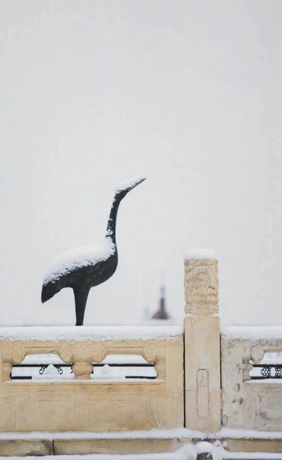 雪景壁纸