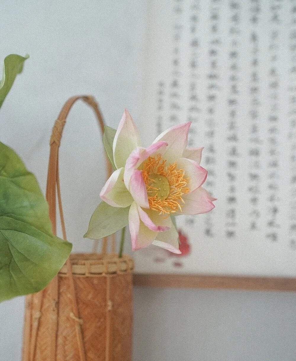 烫花