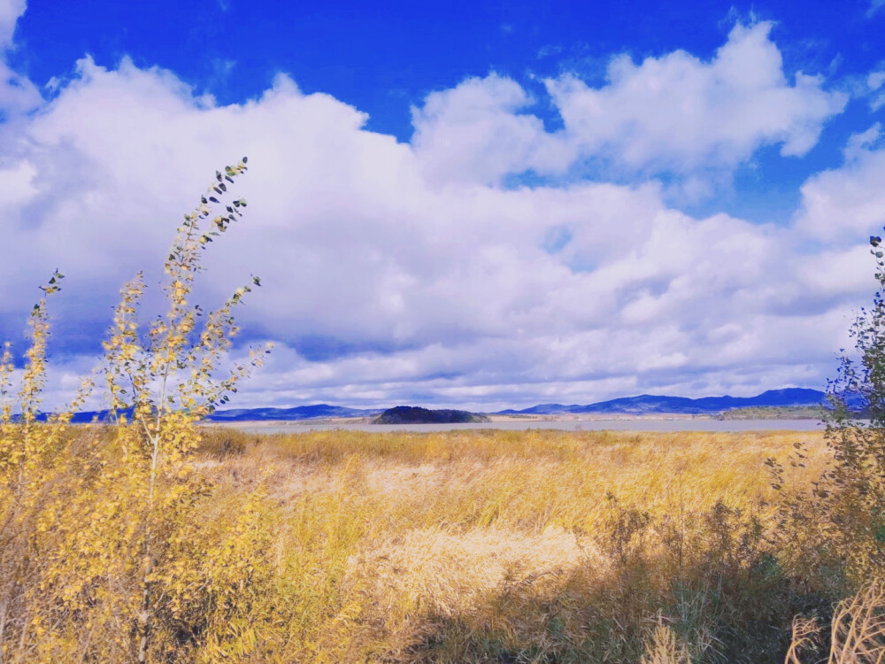 ✨Hometown and hometown✨