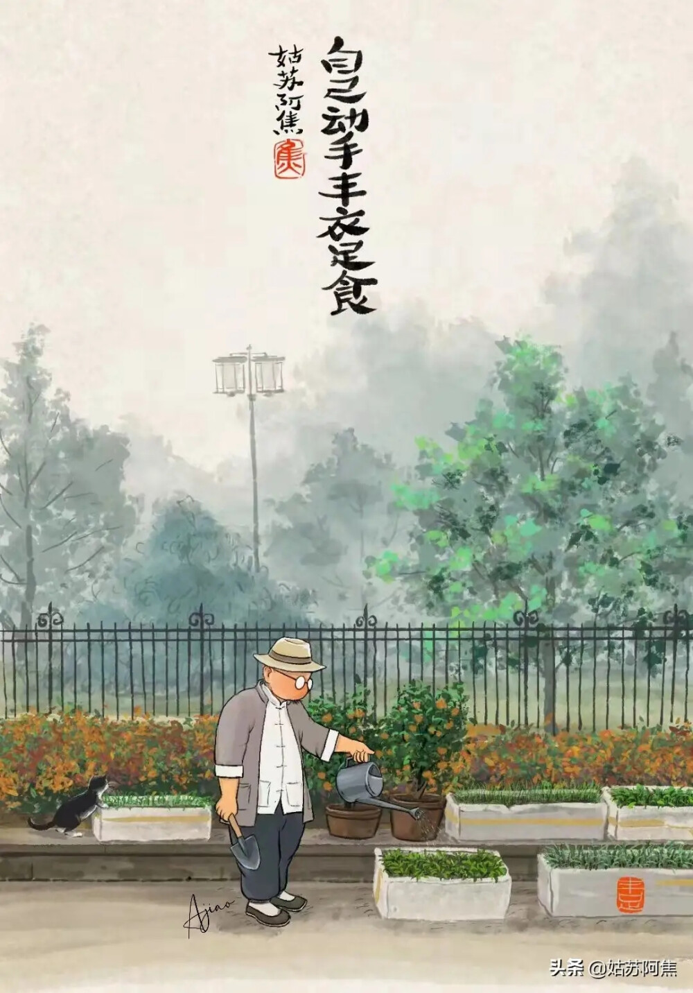 来自姑苏阿焦