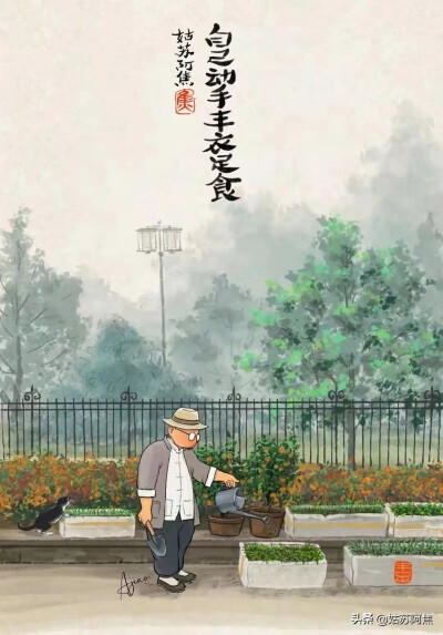 来自姑苏阿焦