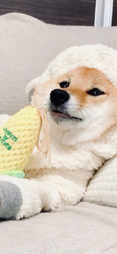 .山高路远看世界也找自己。
