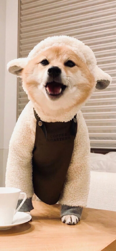 .山高路远看世界也找自己。
