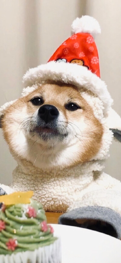 .山高路远看世界也找自己。
