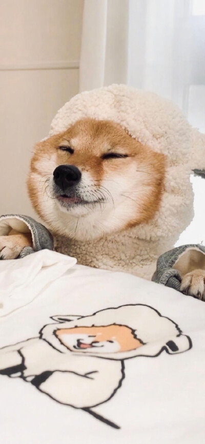 .山高路远看世界也找自己。
