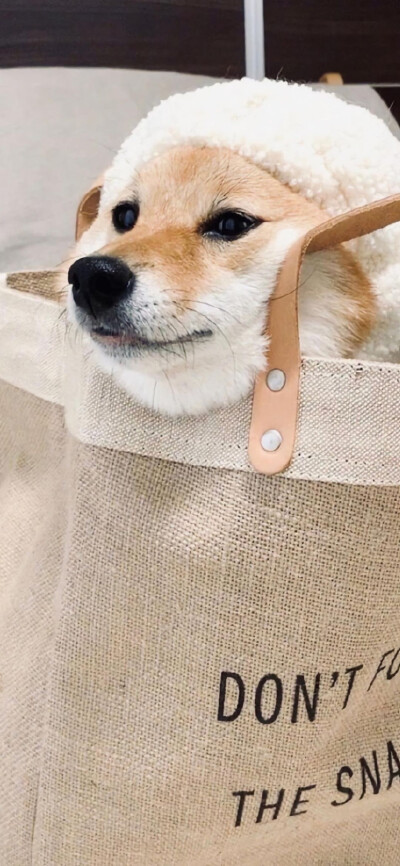 .山高路远看世界也找自己。
