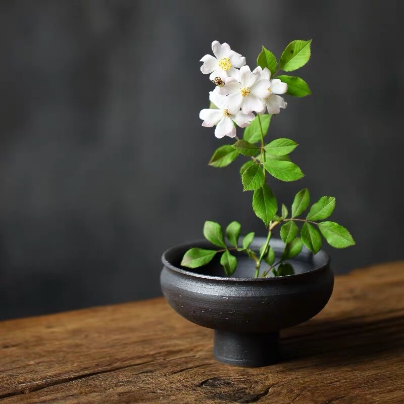 生活就该有些阳光，有点自由，还有一些花朵