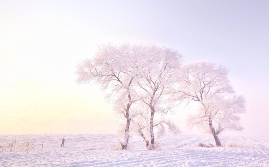 雪景