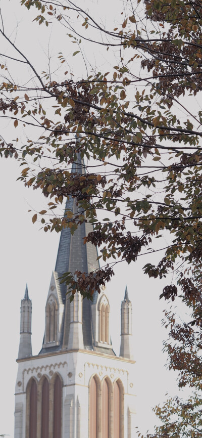 泰晤士 壁纸 ins 秋日