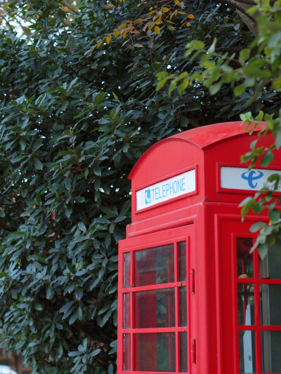 泰晤士 壁纸 ins 秋日