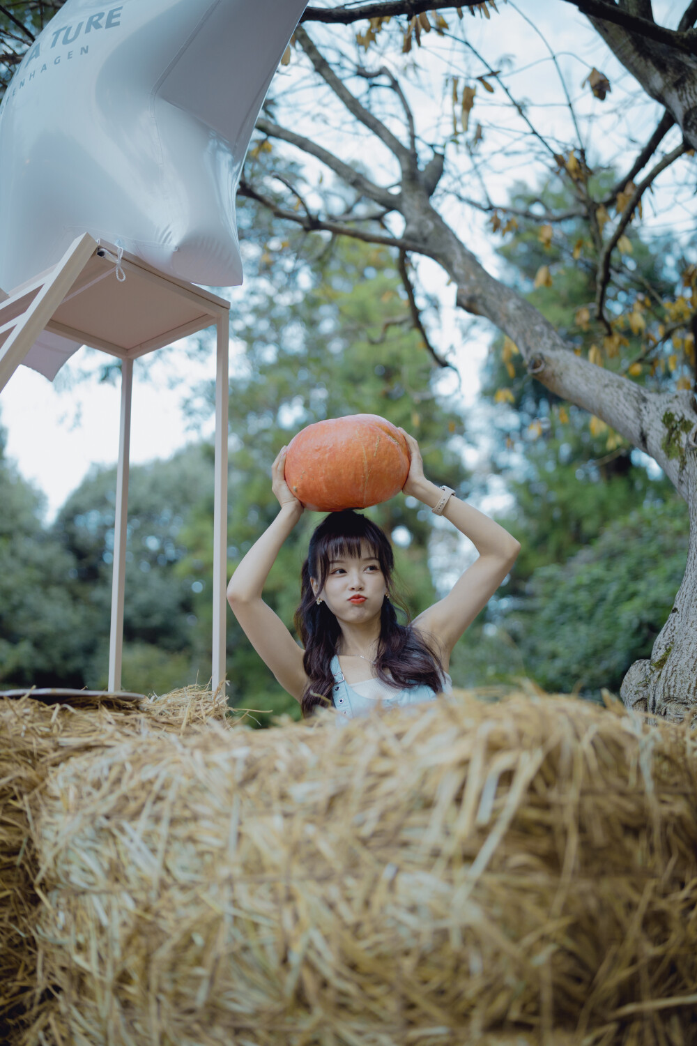 太匆匆
摄影：洪小漩
出镜：小溪
场地：杭州植物园
那日，本是和小溪约了到家里玩，却因为临时起意，带着菲比去了植物园，被plan.b城市森林计划给迷住了。于是联系她相约于此。
当地的集市太过火爆，方圆几公里的交通几乎全线瘫痪。甚至连网络都挤断了。小溪和朋友姗姗来迟，有些不好意思地说，自己只能从出租车上跳下来，却因为不会骑单车，只能徒步了两公里赴约。紧赶慢赶，赶在天黑之前到达目的地。
现场有趣的地方太多，却因为当日时间着实有些紧，我们只能随意拍了一些。如若有下次，期待能在人潮汹涌起来之前，好好逛一逛集市。毕竟，在植物园赶集的机会实属难得。而且，几位主理人的用心，现场可见一斑。