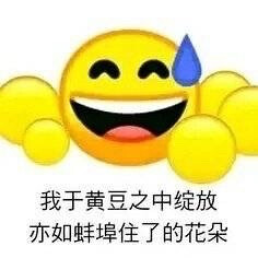 小黄豆表情包