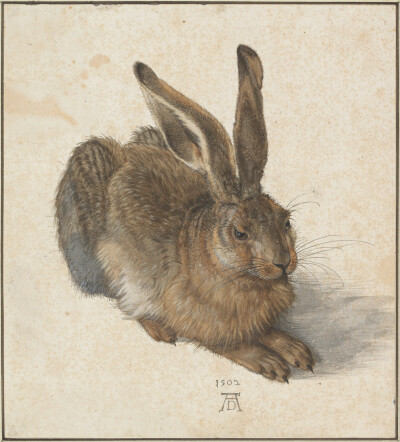 “野兔”, 1502
Albrecht Dürer(1471-1528)