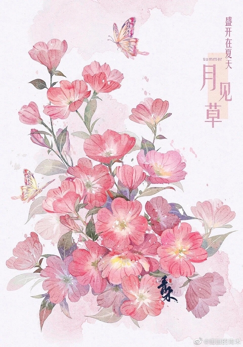 花卉