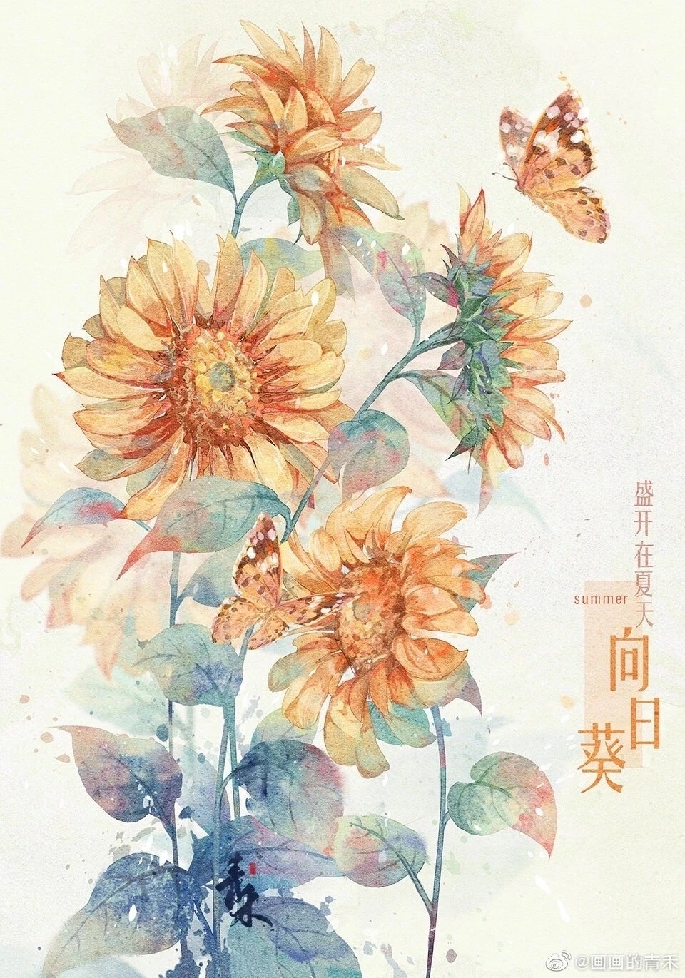 花卉