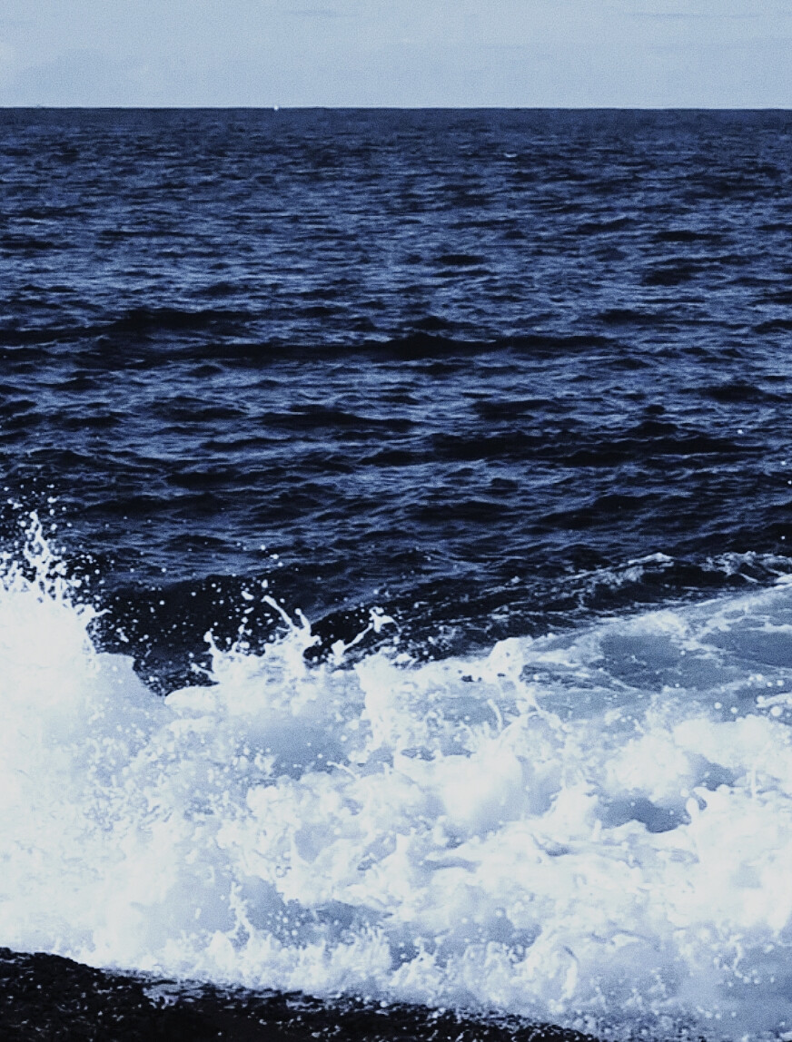 背景图 | 海
：海与浪花 温柔本身 