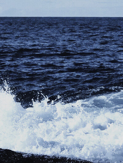 背景图 | 海
：海与浪花 温柔本身 