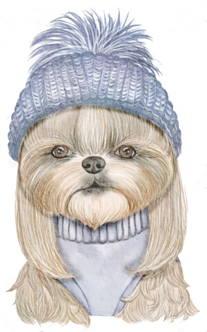 手绘 水彩 狗狗 猫猫