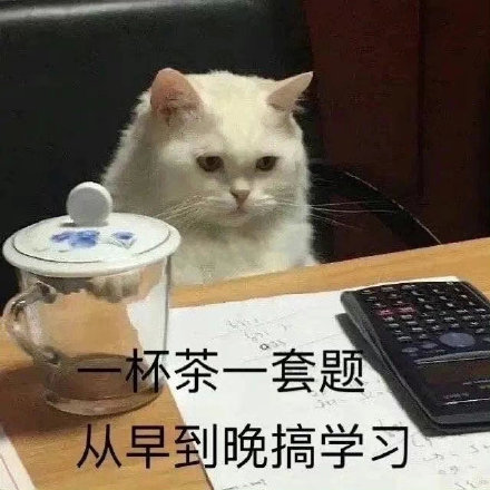 卷吗？